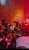 韓国ソウルの将棋倒し事故（２3）人が何重にも折り重なってる&hellip;動画を見るだけで苦しい&hellip;  #韓国 #ハロウィン #将棋倒し #雑踏事故