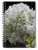 Spiral-bound Notebooks. Get here:   #photography #NaturePhotography #photographylovers #journals #journaling #GardeningTwitter #FlowerHunting #bougainvillea #flowers #floral #squirrels #writers #AYearforArt #SpringintoArt #ThePhotoHour #nationalgeogr