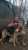Friend   #Ukraine #UkraineRussiaWar #UkraineWar #Leopard #CatsOfTwitter #CatsOnTwitter #RussiaisATerroistState #UkraineWarNews #UAarmy #ukrainecounteroffensive #Zelensky #UkraineRussiaWar️