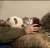 Good night  #Ukraine #UkraineRussiaWar #UkraineWar #Leopard #CatsOfTwitter #CatsOnTwitter #RussiaisATerroistState #UkraineWarNews #UAarmy #ukrainecounteroffensive #Zelensky #UkraineRussiaWar️