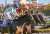 内　#ヴェルトライゼンデ  中　#シャフリヤール  外　#デアリングタクト   #ジャパンカップ