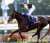 【3月25日がアツ過ぎる件】 ・ディープインパクト誕生日  ・日経賞(タイトルホルダーvsAビクターモア)  ・伏竜S 地方最強2歳ヒーローコール参戦  ・深夜- ドバイミーティング イクイノックス、ドウデュース、パンサラッサ 現役世界最強&times;レジェンド武ダービー馬&times;世界のパンサ  ・翌日、高松宮記念