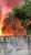 Imagens mais pr&oacute;ximas do inc&ecirc;ndio no projac