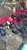Контрудар армии РФ на Херсонщине-Николаевщине: наши бойцы показывают трофеи В ходе контрудара в Николаевской области армия России взяла под контроль Благодатное и окрестности.