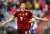 Robert Lewandowski now has  goals for Bayern Munich across all competitions   #FCBBSC