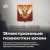Электронные повестки для всех. Сегодня Госдума рассмотрит законопроект, который изменит призыв на военную службу  1/7