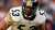 MURIO CLARK HAGGANS LINEabAKER CAMPEON PARA LOS STEELERS