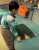 Can you try this #موضي_الشمراني #ร้องข้ามกําแพง #السعوديه_الامارات #سكربت24 #StrayKids