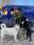 With a combat medic - combat dogs)##UkraineWar #SlavaUkraine #StopRussia #RussiaUkraineWar #StandWithUkraine