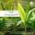We're proud to have received an 8.5 in the #RSPO Shared Responsibility Scorecard, highlighting our commitment to sustainable palm oil.  Learn more:   #SustainablePalmOil #VolacWilmar