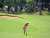 とにかく最終日も思い切りよく \u203c\ufe0f  #応援をちからに  #渡邉彩香らしさ全開で  #ほけんの窓口レディース  #最終組   #渡邉彩香  #渡マネ