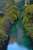 The beauty of nature in Jijel  \u2764 #welcome_to_algeria