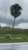 SOUTHWEST FLORIDA TORNADO  Hurricane Ian producing tornadoes in #SWFL this afternoon. This was shot along US 41 between Naples and Miami...  : @winknews viewer Roger Felipe