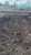 \u203c\ufe0f \ud83d\ude80Последствия утреннего ракетного удара по ж/д узлу в городе #Малин #Житомирской области  #BREAKING #Ukraine #Ukraina #Ukrainian #StopWar #StopRussia #war #UkraineInvasion #RussiaUkraineWar #Russians #UkraineWillResist #Russian
