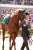 久しぶり\u2764\ufe0f︎  #ヴェローチェオロ #東京競馬場 #ダイヤモンドS