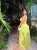 Tropical \ud83c\udf34\u2728