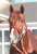 パンサラッサ、ユニコーンライオン&hellip;そしてマイルには #ホウオウアマゾン が!!矢作厩舎のスピードホース、表情はメチャクチャかわいいですね。 #夕刊フジ #競馬 #マイルチャンピオンシップ #HoOAmazon