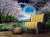 {عَسَى رَبّنا أن يُبدلَنا خَيراً مِنها}  'أطفئ لهيب الفقد الذي أوقد بقلبك بهذه الآية وازرع يقينك بأنّ الخير ملازم لقضاء الله إذا زاحَم قلبك اليأس #اسطول_زعماء_تويتر