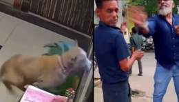 فيديو صادم.. كلب يقفز من الطابق الـ15 هرباً من اعتداء حارس أمن في الهندفيديو صادم.. كلب يقفز من الطابق الـ15 هرباً من اعتداء حارس أمن في الهندFrom 24.ae
