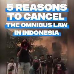 Videos