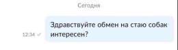 После матча Таджикистан - Россия Валерий Карпин открыл первое попавшееся объявление на Авито