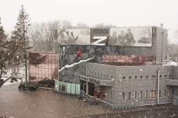 Pictures