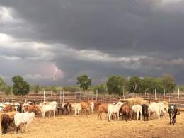 ... it's the seeding, weeding, feeding, breeding, tilling, plowing + planting ... Happy #AgDayAUto everyone working in &amp; supporting the Aus Ag sector @afsnsw @NationalFarmers @tonymahar @annbritton @troysetter @AgForceQLD @GeorgieSomerset @Warrab