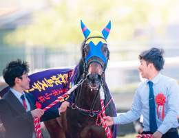 風が強くてマントみたい笑 おめでとう！ 2023/4/8 阪神競馬場 #サウンドビバーチェ #阪神牝馬ステークス