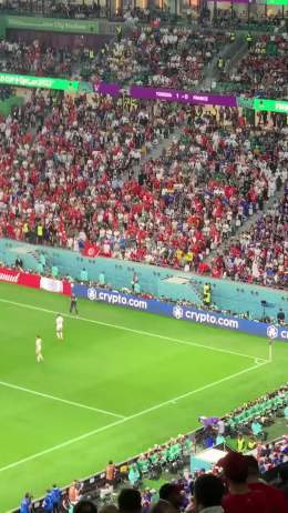 During the France vs Tunisia World Cup game, a fan invaded the pitch waving the flag of Palestine   The crowd responded with 'Filastin' chants.