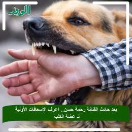 #بوابة_الوفد| بعد حادث الفنانة رحمة حسن.. اعرف الإسعافات الأولية لـ عضة الكلب