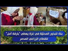 بنك للبذور المحليّة في غزة يعطي "بارقة أمل" للقطاع الزراعي المدمر