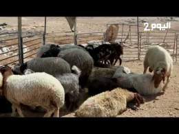 الضفة الغربية.. خربة الفخيت تحت الأنقاض