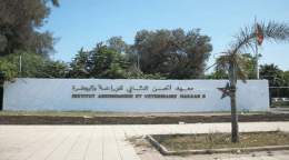 أطباء بياطرة أساتذة باحثون يطالبون وزارة المالية بالإفراج عن ملف تسوية وضعيتهم النظامية <p style="direction: rtl;">طالب الأطباء البياطرة الأساتذة الباحثون بمعهد الحسن الثاني للزراعة والبيطرة وزارة الاقتصاد والمالية بتسريع استكمال دراسة ملف تسوية وضعي