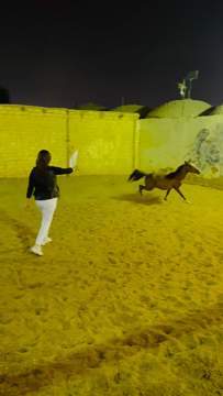 الخيل والليل والبيداء تعرفني \ud83d\ude05