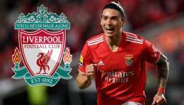 \ud83d\udea8 مؤكد من مصادر ليفربول  \ud83d\udea8  ليفربول يرغب في التعاقد مع نونيز مهاجم بنفيكا والمهاجم قد يُصبح أغلى لاعب في تاريخ ليفربول بـتكلفة تصل إلى 85 مليون باوند.   \ud83d\udd34 \ud83d\udd34 \ud83d\udd34 \ud83d\udd34 \ud83d\udd34 \ud83d\udd