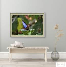 Butterfly by #AndreaAnderegg SHOP HERE:  #valentines #valentinesday #artsale #sale #fineart #homedecor #dormdecor #inspirational #minimalism #buyart #artforsale #quotes #wallart #BuyIntoArt #AYearForArt #ArtDistrict #BuyArtNotCandy #PhotographyIsArt