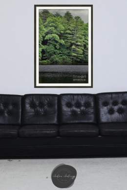 After the rain by #AndreaAnderegg SHOP HERE:  #valentines #valentinesday #homedecor #dormdecor #inspirational #minimalism #onlineshopping #buyart #artforsale #quotes #shopsmall #wallart #BuyIntoArt #AYearForArt #ArtDistrict #BuyArtNotCandy #Photograp