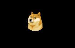 #Doge to the moon!