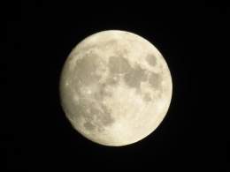 月が夜空で輝いています。 ちょうど満月となるのは10日明け方です。満ちゆく月をお楽しみください