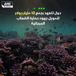 ???? تعتزم الدول الأعضاء في المبادرة الدولية للشعاب المرجانية، جمع 12 مليار دولار لح...
