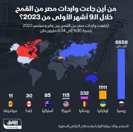 ???? واردات مصر من القمح خلال أول 9 أشهر من العام الجاري صعدت بنحو 30% على أساس سنوي.. وا...