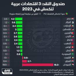???? صندوق النقد الدولي يعدل توقعاته لنمو اقتصادات الدول العربية في 2023 ويتوقع انكما...