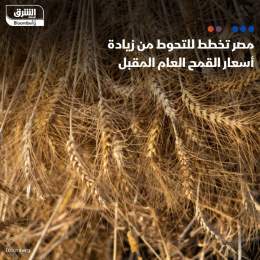 ???? مصر تخطط للتحوط من زيادات أسعار القمح العالمية العام المقبل، بحسب وزير المالية ...