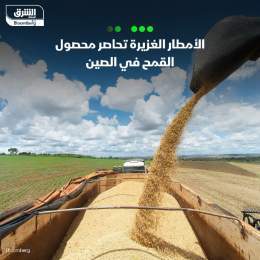 ???? من المتوقع تضرر إنتاج الحبوب بمجموعة من أكبر مناطق الزراعة في الصين، بسبب الأمط...