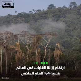 ???? تقرير "تقويم إعلان الغابات" الذي صدر اليوم الثلاثاء، أشار إلى أن إزالة الغابات ف...