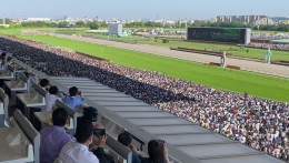 Ready to rumble (sound on!)  \ud83c\uddef\ud83c\uddf5  \ud83c\udfc7\ud83c\udffb  #日本ダービー #東京優駿 #競馬