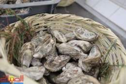 Pictures