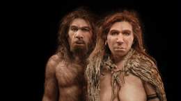 4 февраля в мире отмечают забавный праздник - День неандертальца. Еще 40 000 лет назад они населяли территорию современной Европы и Азии. Ну шо кто из нас их предок?