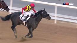 Japanese @KentuckyDerby contender! Crown Pride's chances at Churchill Downs are debated by @loomsboldly and @hayleyjanemoore #KyDerby #競馬 #ケンタッキーダービー