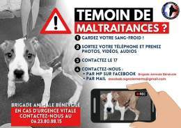 VOUS &Ecirc;TES T&Eacute;MOIN DE MALTRAITANCES ?   Gardez votre sang froid!  Prenez photos, vid&eacute;os, audios   Contactez le 17 Contactez nous par mp Facebook  ou par mail Assobab.signalements@gmail.com   En cas d'urgence vitale : appelez nous 06